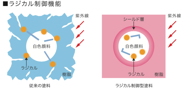 ラジカル性能機能